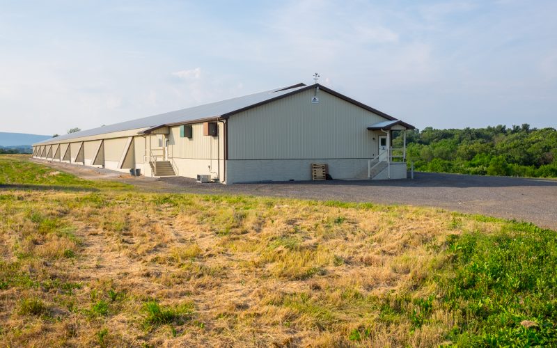 Poultry Barn (Chickens) | Irish Creek Inc.